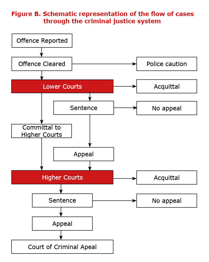 Criminal Justice System in NSW